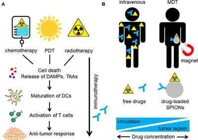 Functionalized Superparamagnetic Iron Oxide Nanoparticles (SPIONs) as Platform for the Targeted Multimodal Tumor Therapy